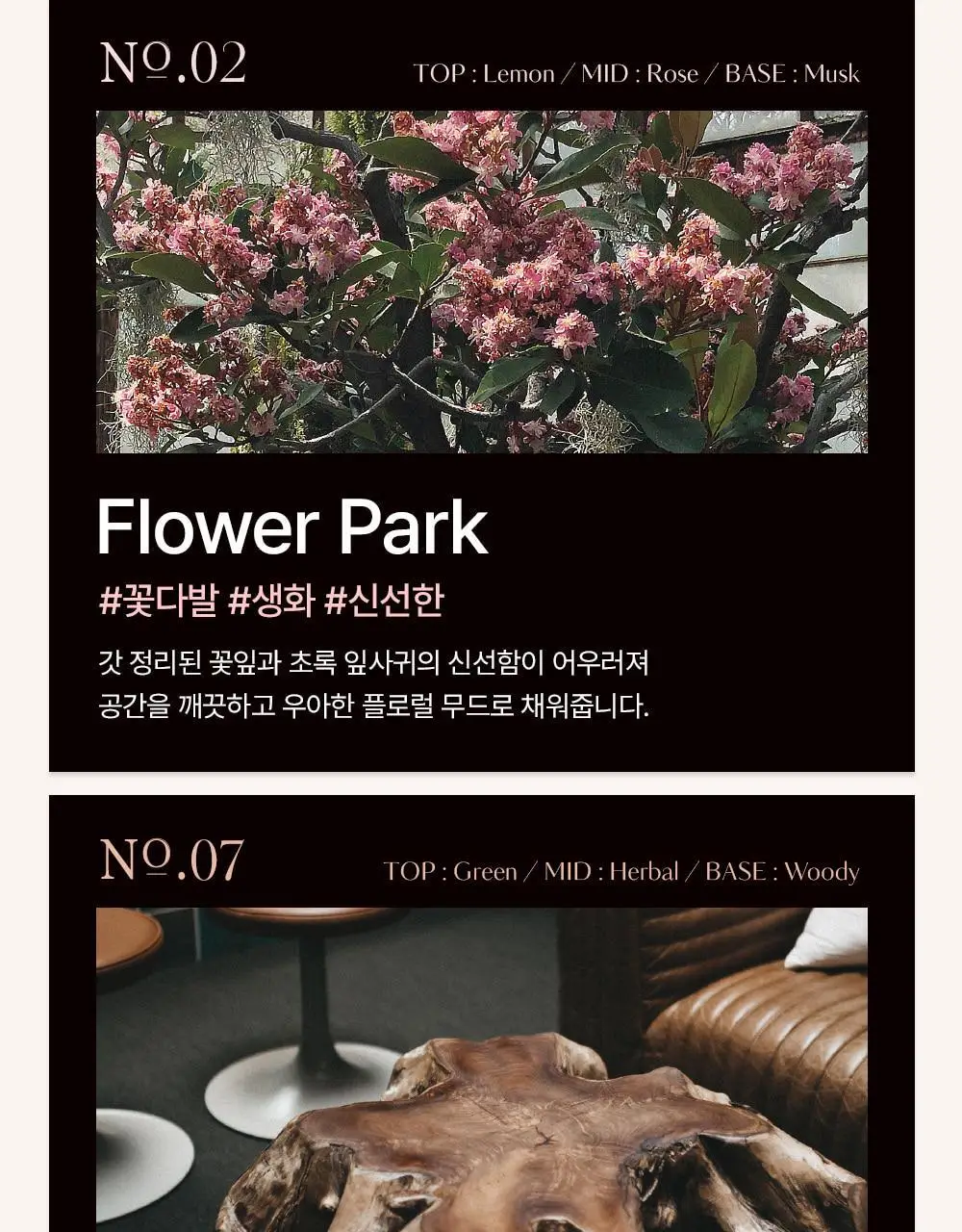 [올영 1위 디퓨저/단독기획] 헤트라스 프리미엄 대용량 디퓨저 510ml 2개입 기획세트 / 헬로키티 콜라보 디퓨저 상세페이지 10